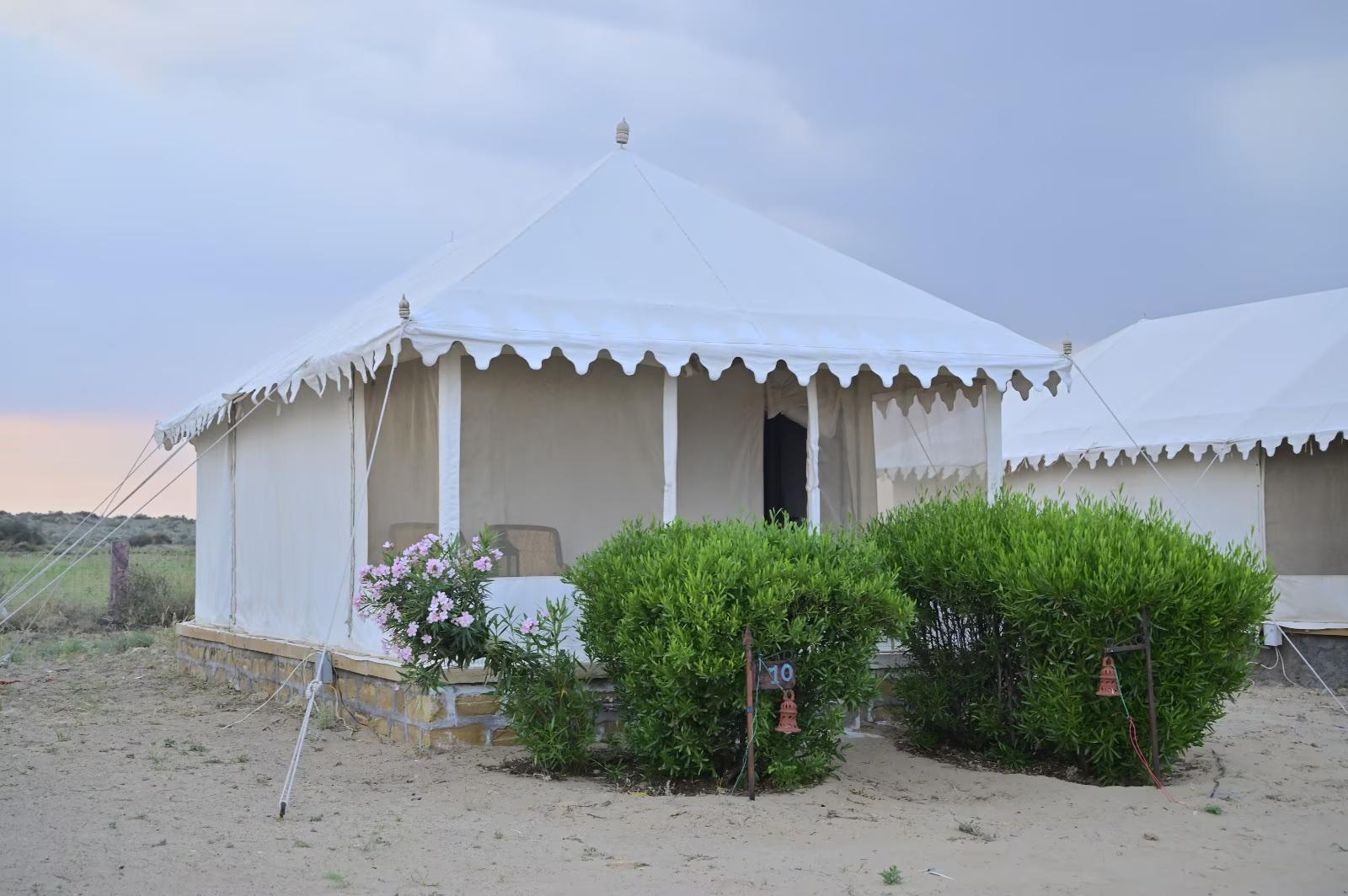 Sunny Desert Camp x Solis Nature