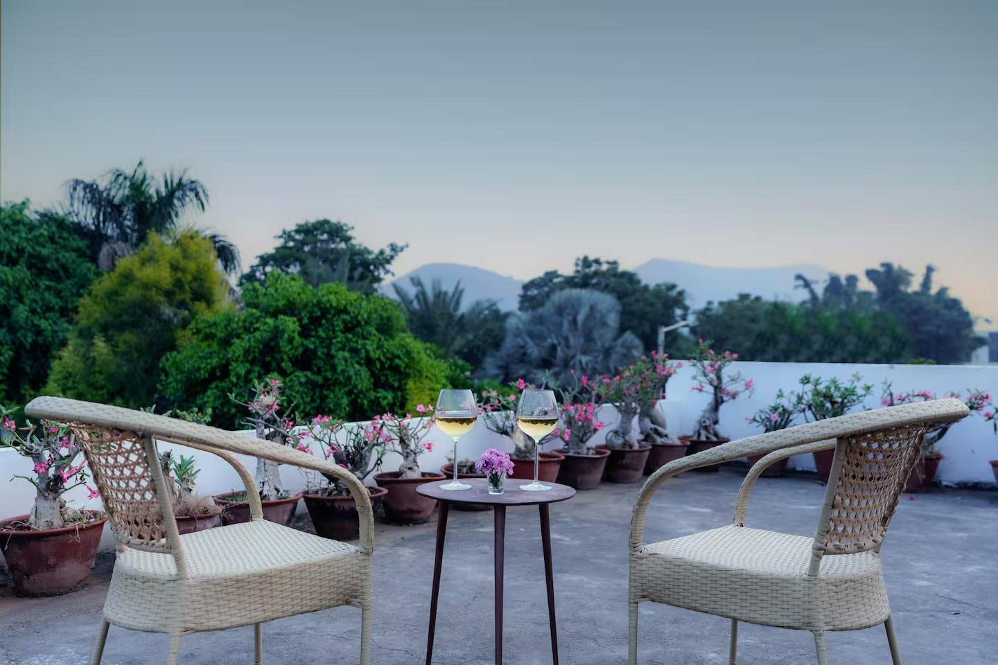 Nasheman FarmStay: The Nest x Solis Nature