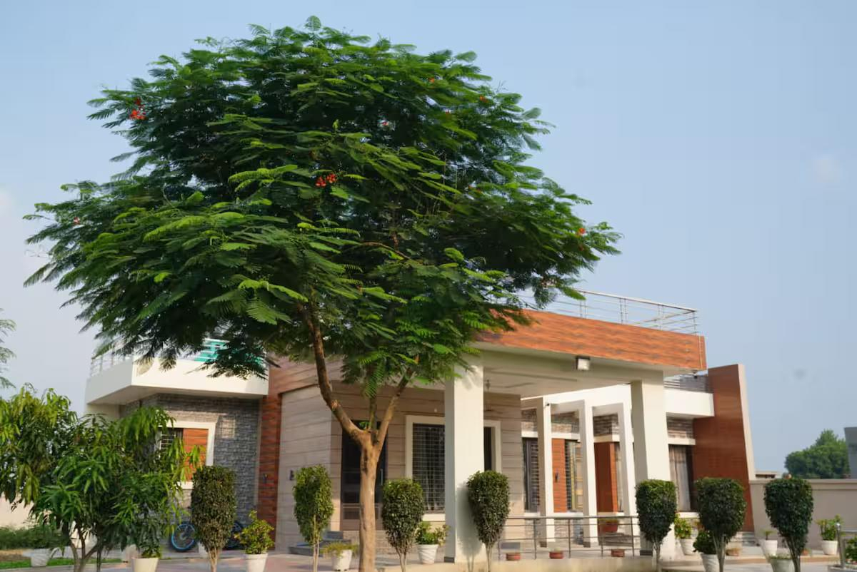 2Bhk Farm stay x Solis Nature