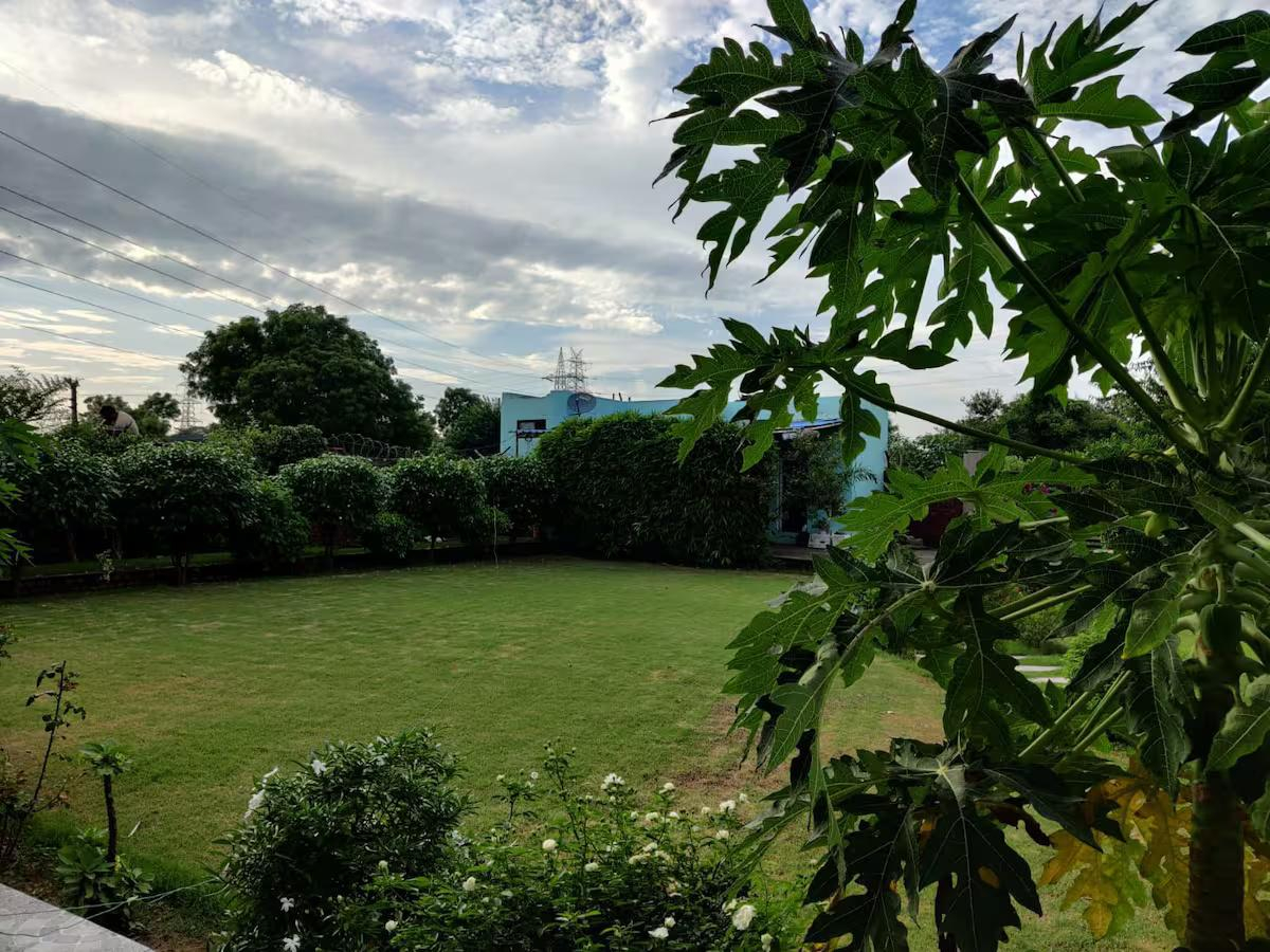 Luxury Farmhouse with Pool in the Aravalli Hills x Solis Nature