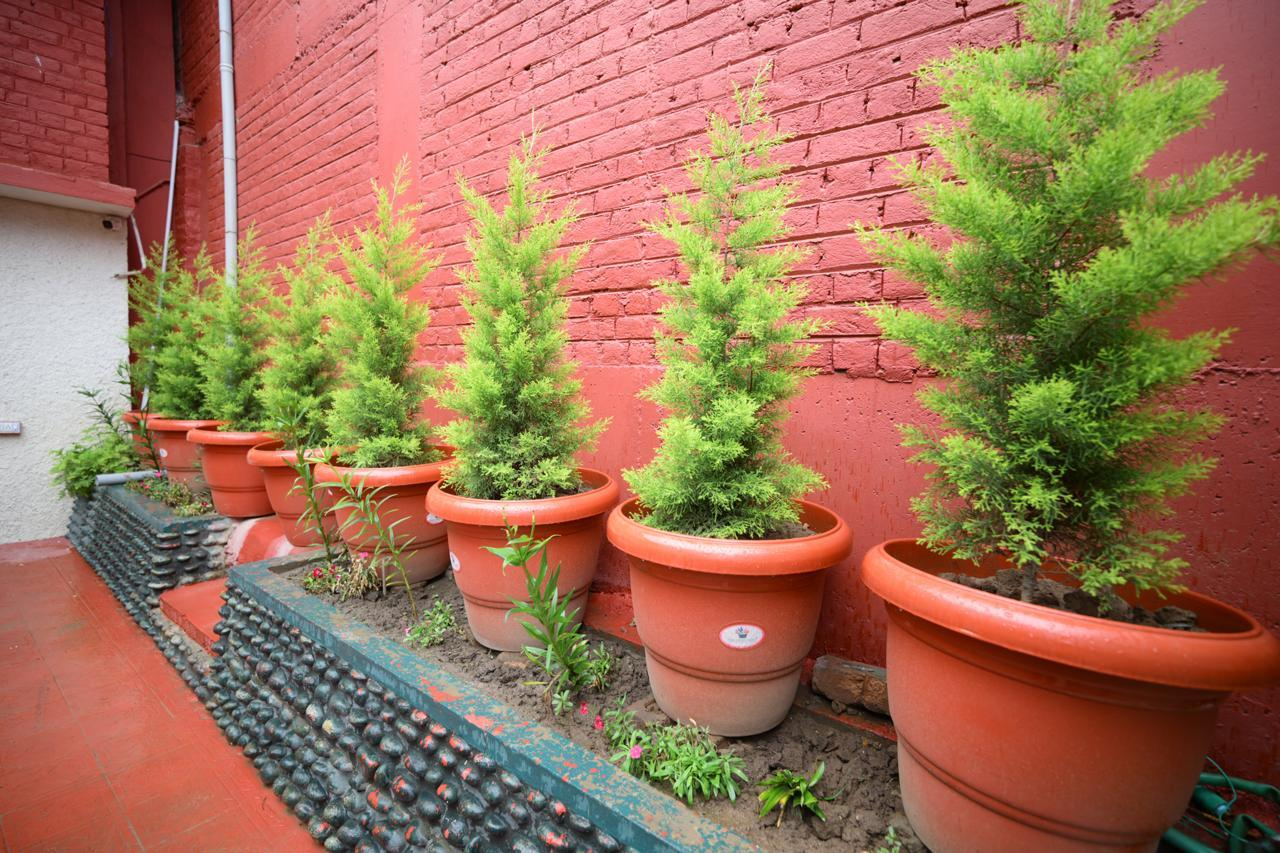 Aubiz Villa's Residential Suite x Solis Nature