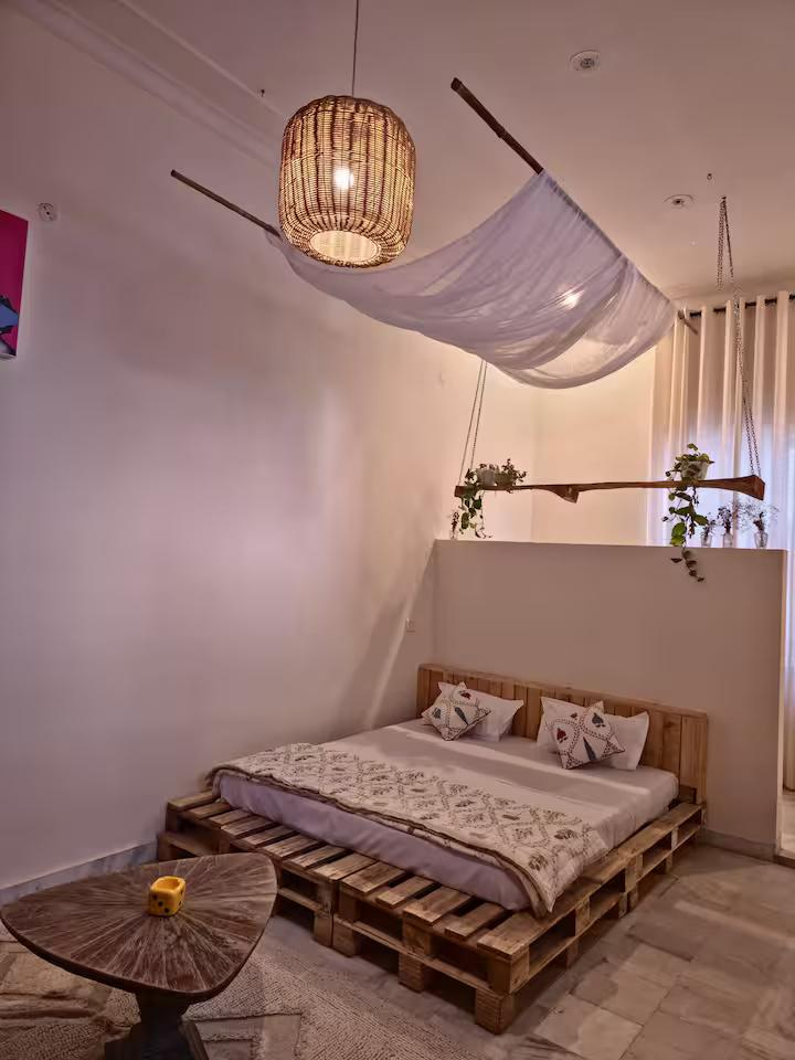 The Muse Studio x Solis Nature