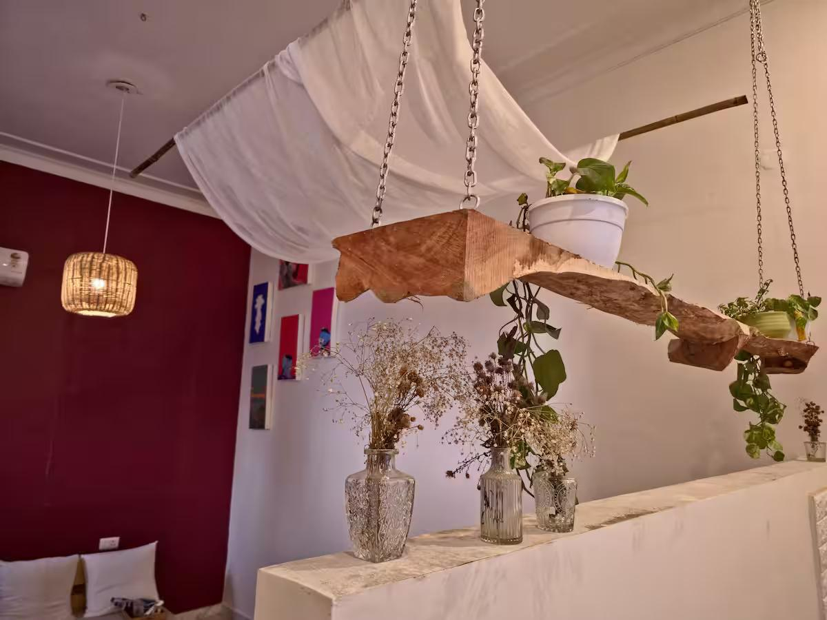 The Muse Studio x Solis Nature