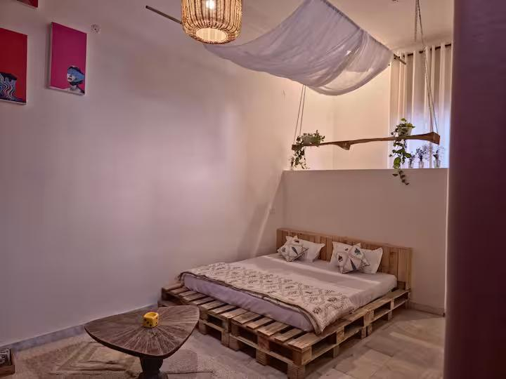 The Muse Studio x Solis Nature