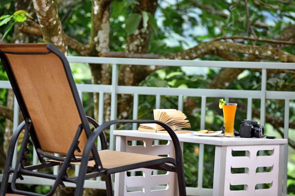 Mistletoe Homestay & Art Gallery Cafe x Solis Nature