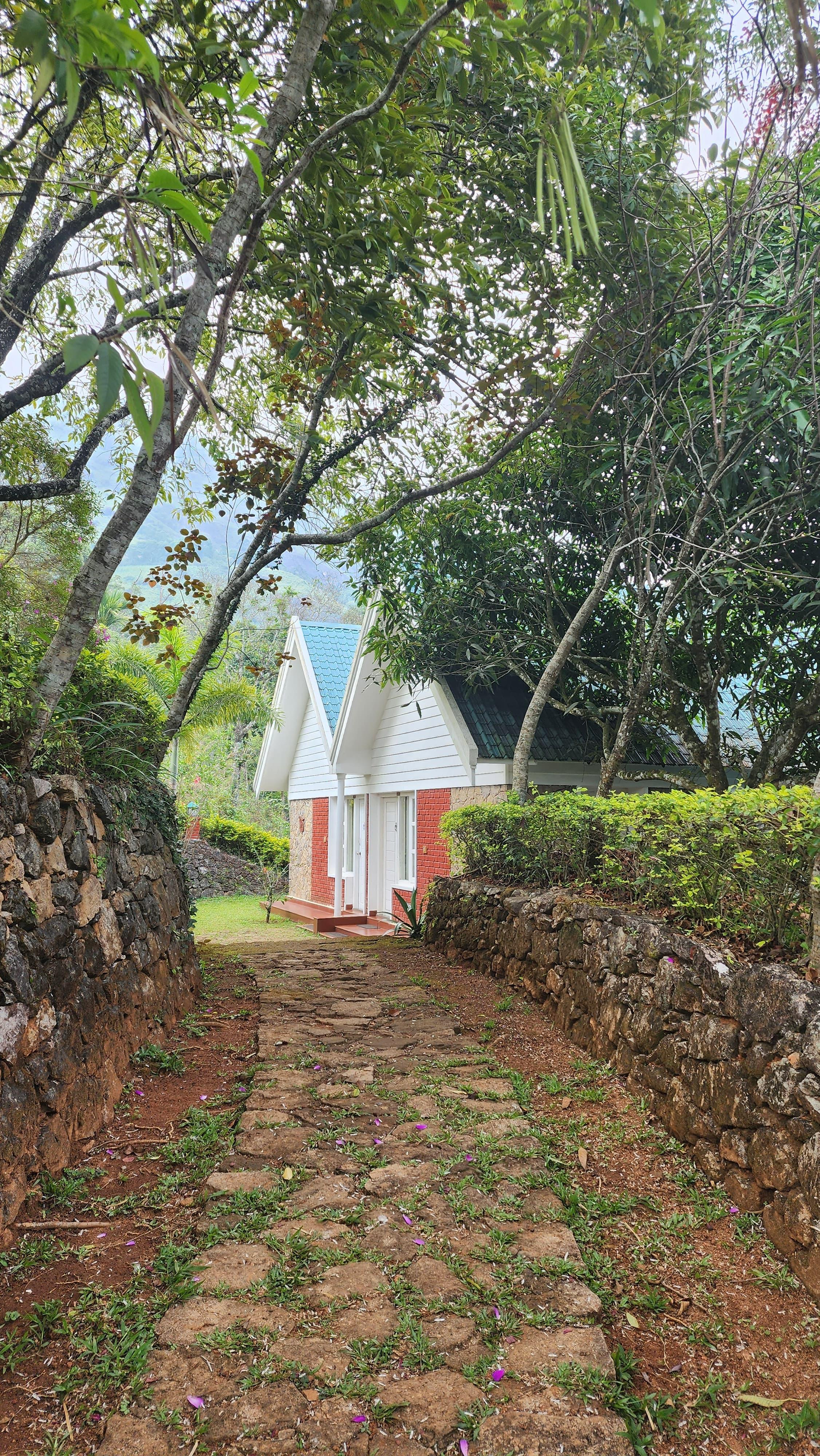 Ambady Estate x Solis Nature