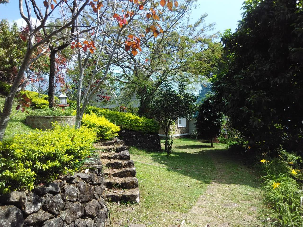 Ambady Estate x Solis Nature