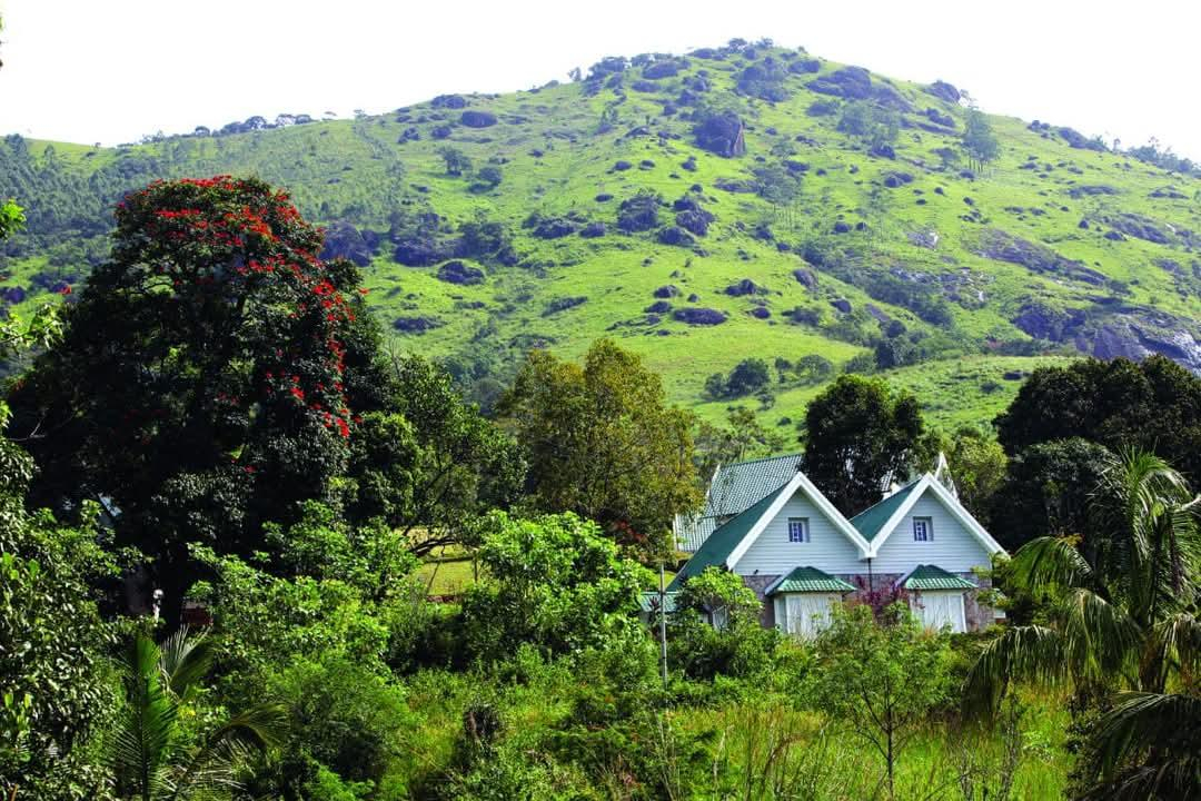 Ambady Estate x Solis Nature