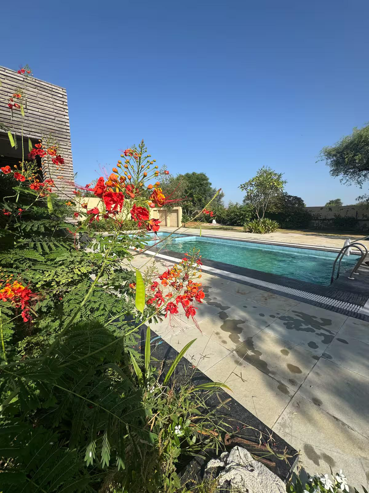 Madonna’s lil nest with 2bhk and pool big size x Solis Nature