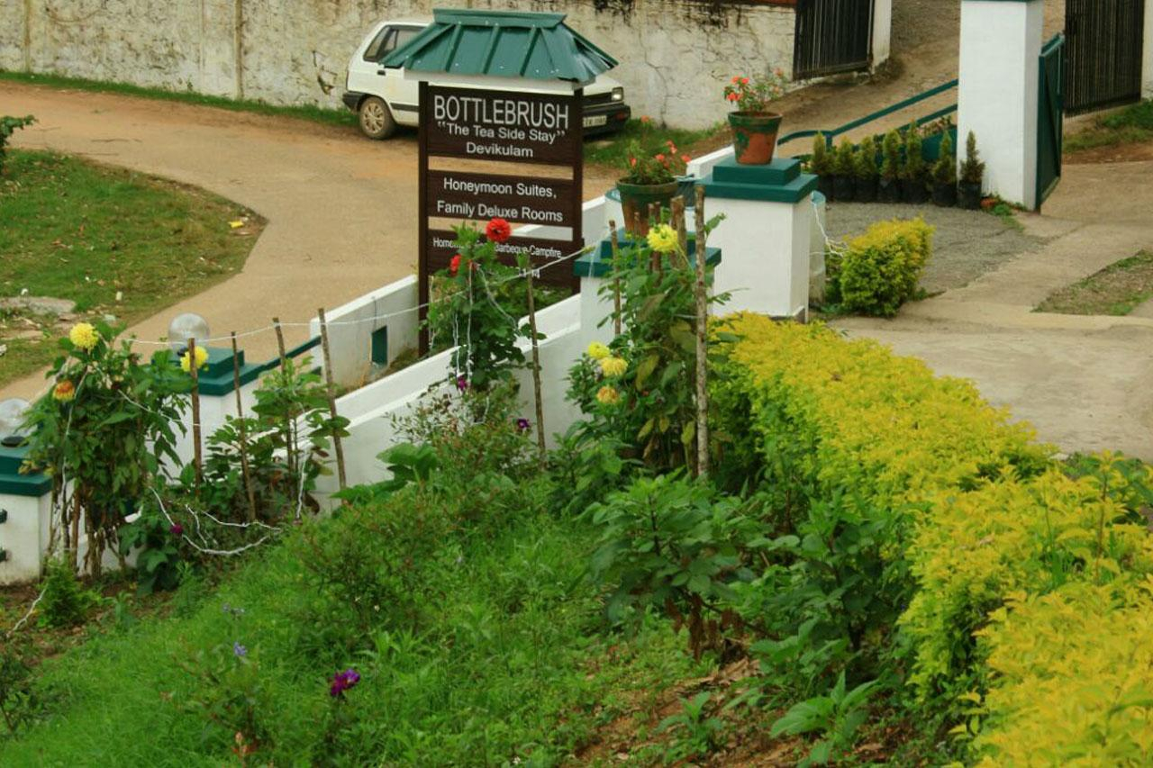 Bottlebrush The Tea Side Stay Villa x Solis Nature