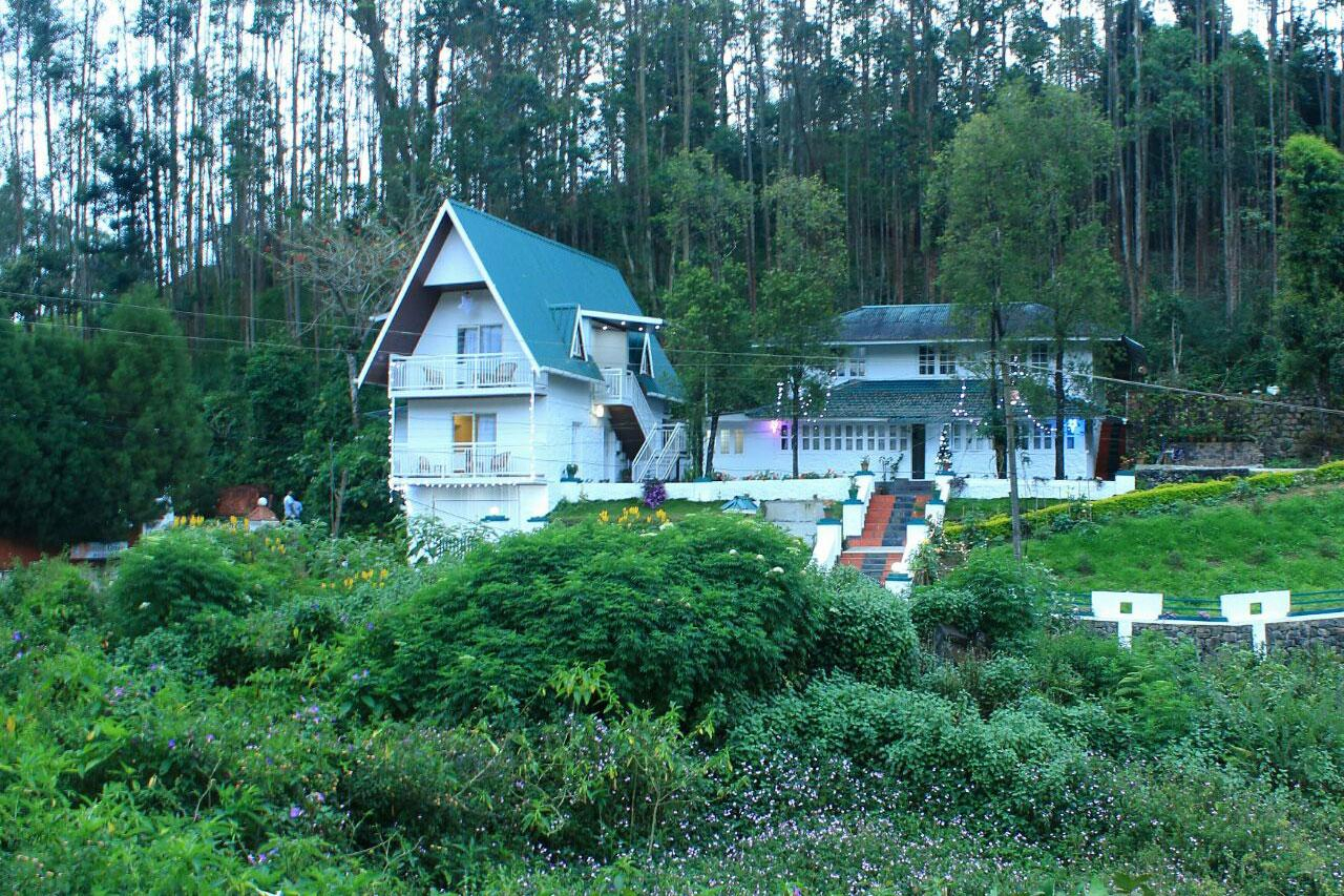 Bottlebrush The Tea Side Stay Villa x Solis Nature