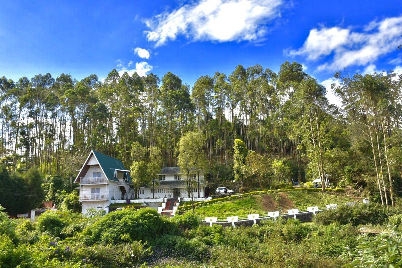 Bottlebrush The Tea Side Stay Villa x Solis Nature