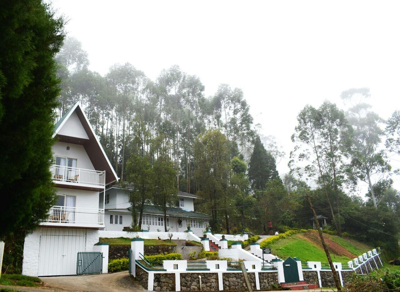 Bottlebrush The Tea Side Stay Villa x Solis Nature