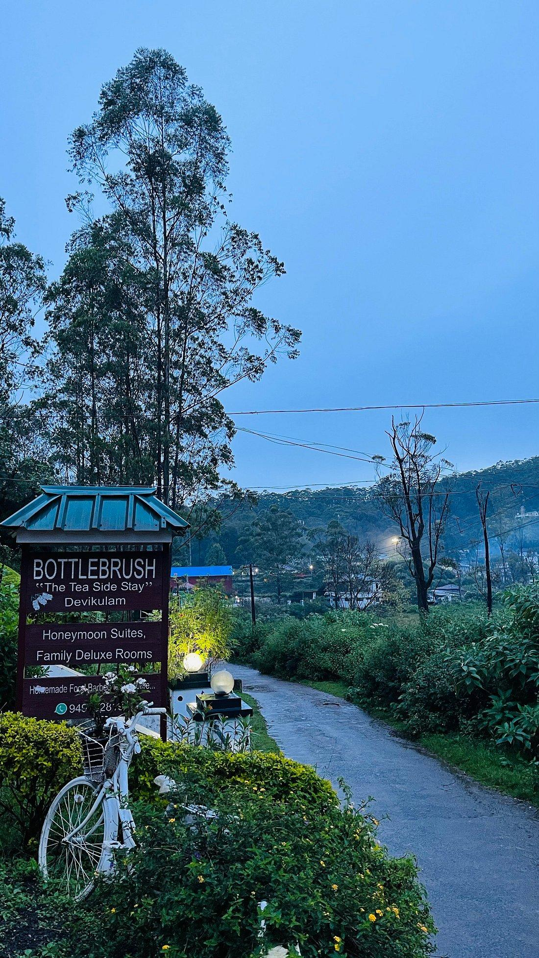 Bottlebrush The Tea Side Stay Villa x Solis Nature