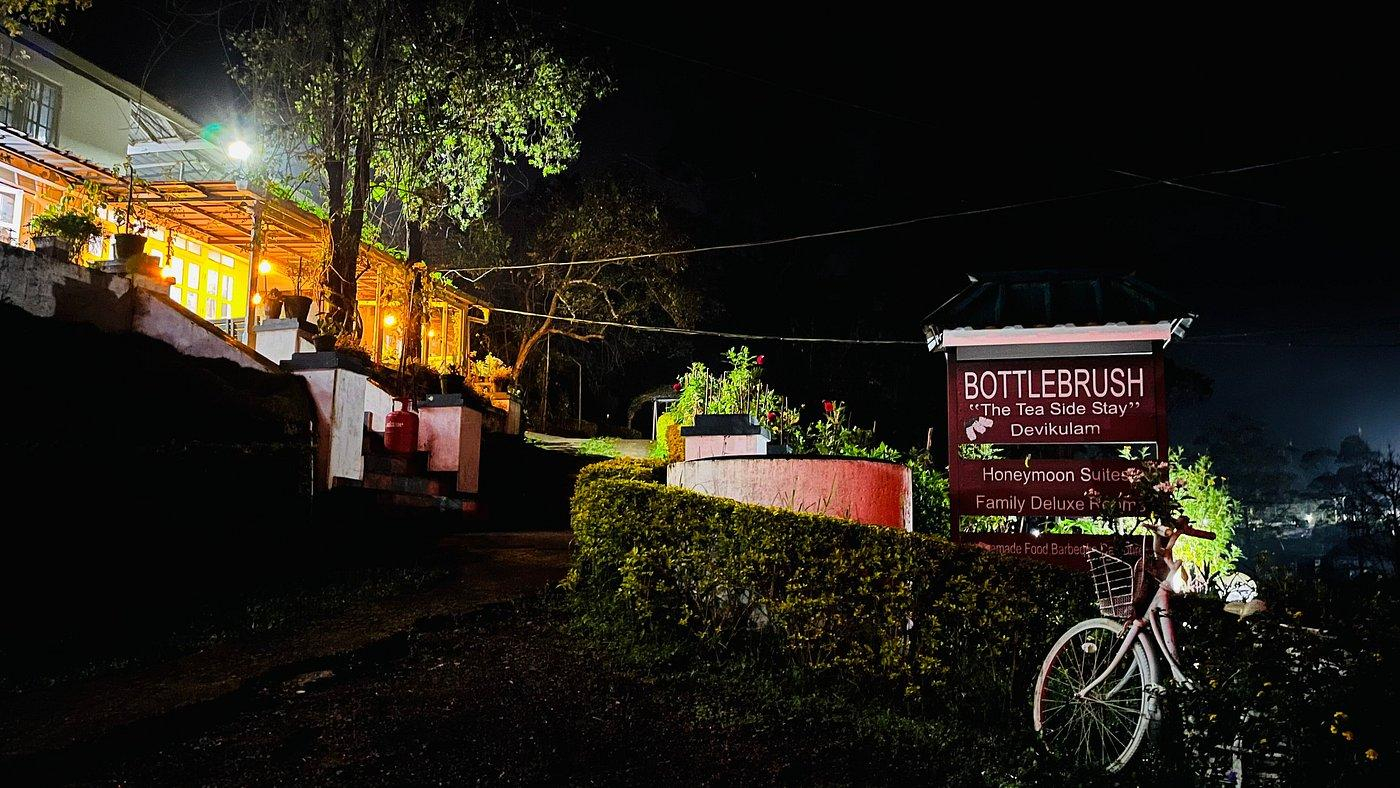 Bottlebrush The Tea Side Stay Villa x Solis Nature