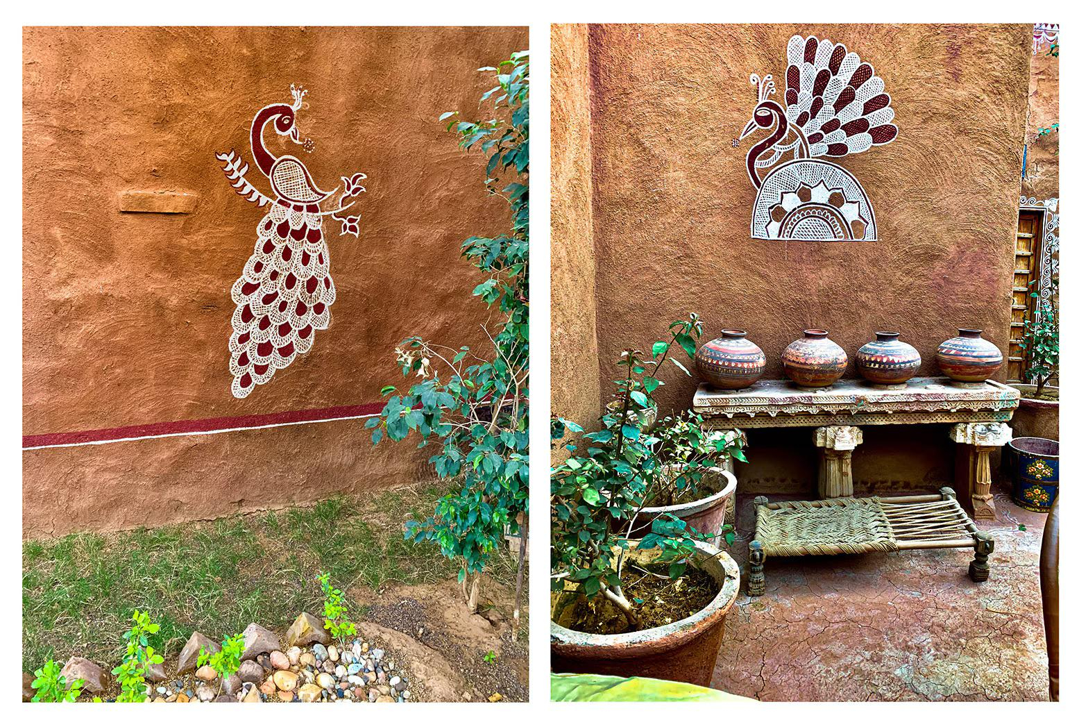 BARSINGHA VILLA x Solis Nature