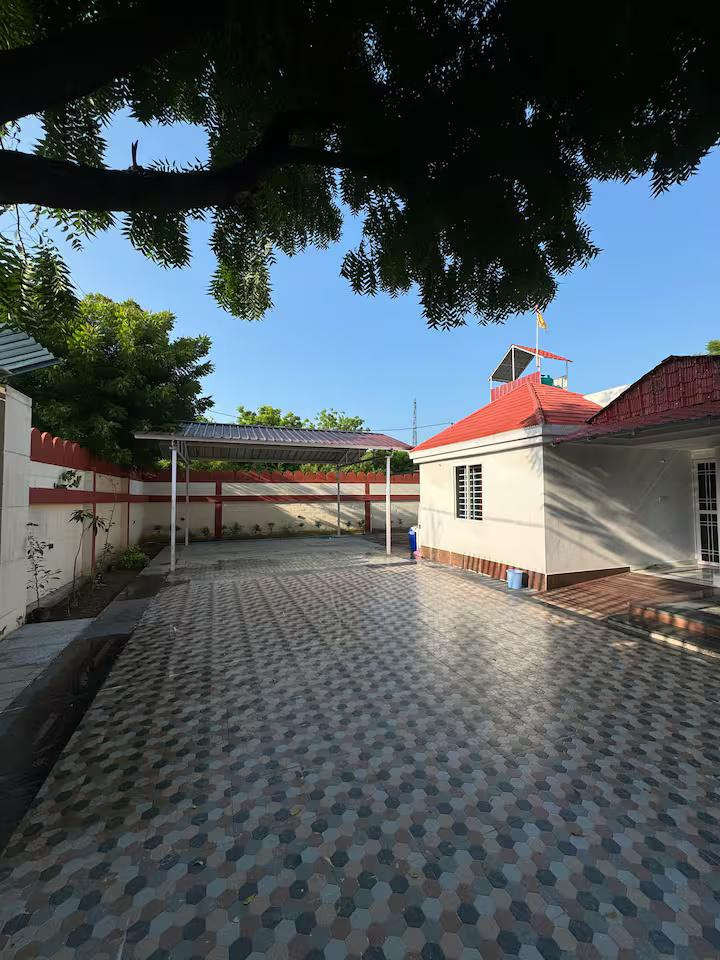 Blue wind TreeHouse x Solis Nature