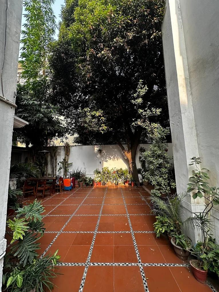 Trendy Bed and Breakfast x Solis Nature