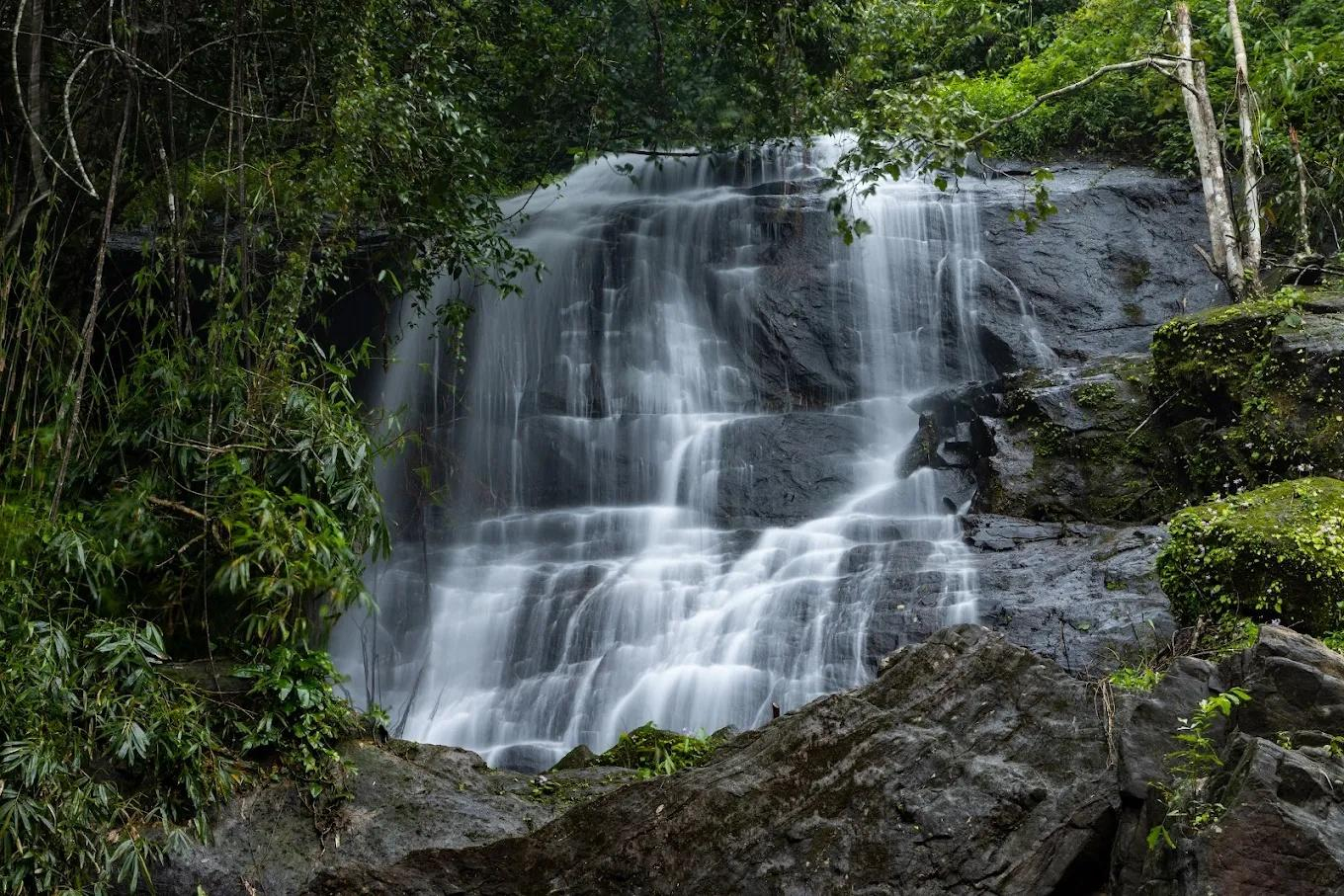 Oxygen Rainforest Resort x Solis Nature