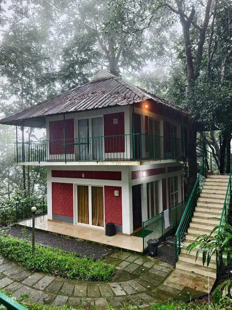 Oxygen Rainforest Resort x Solis Nature