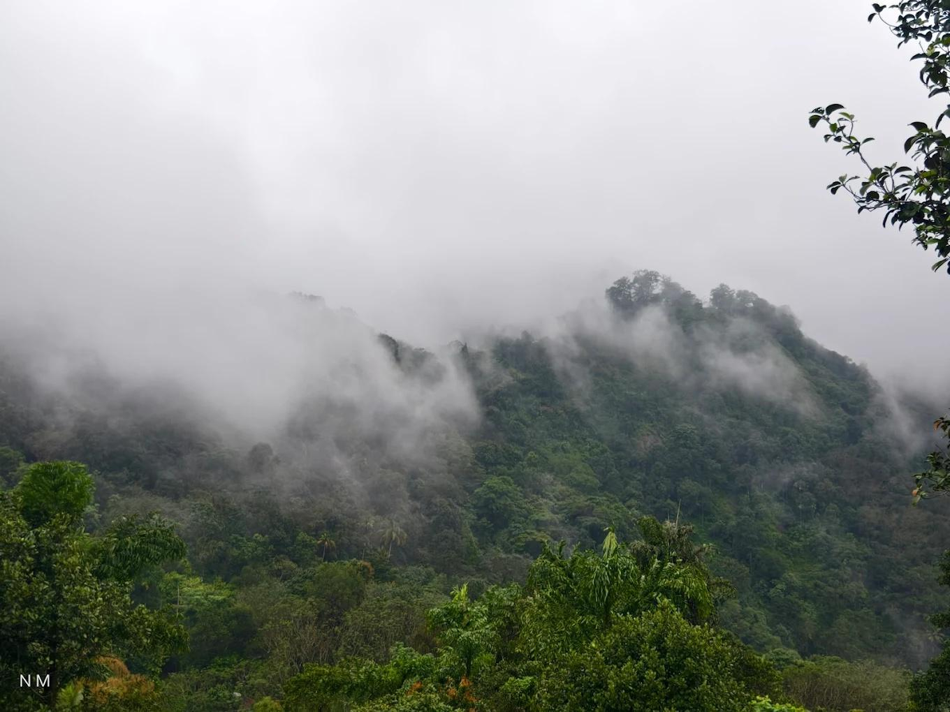 Oxygen Rainforest Resort x Solis Nature