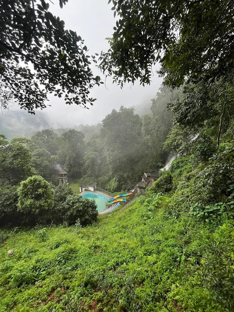 Oxygen Rainforest Resort x Solis Nature