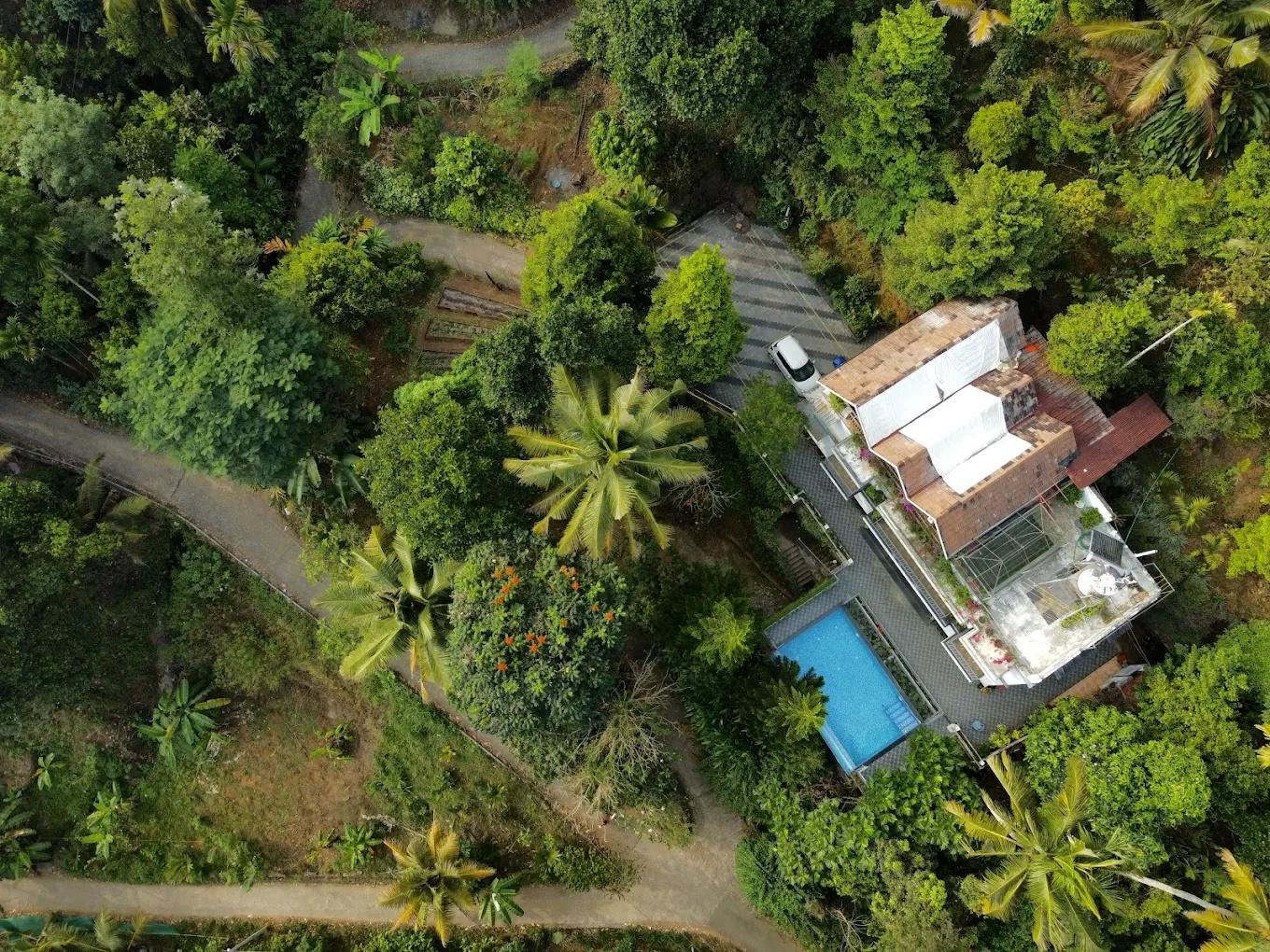 Sceva's Garden Home x Solis Nature