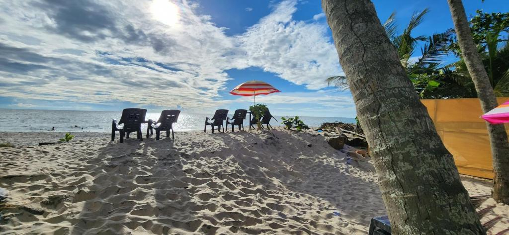 Bliss Beach Villa x Solis Nature