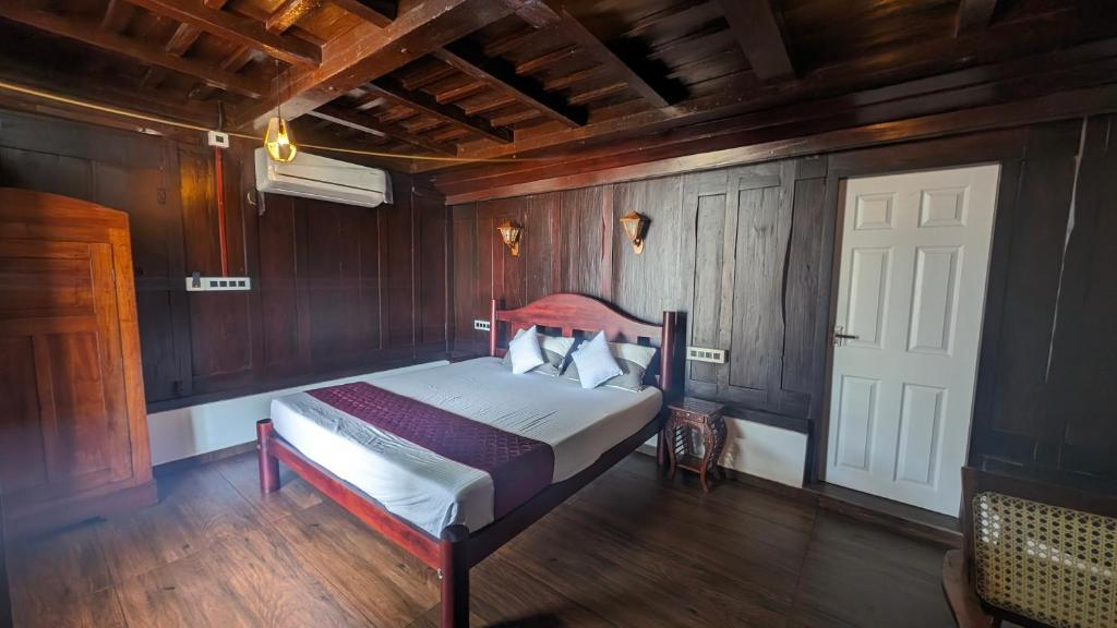 Beachillam x Solis Nature