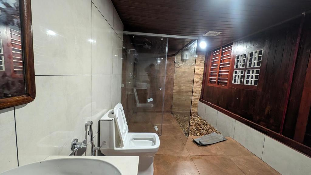 Beachillam x Solis Nature