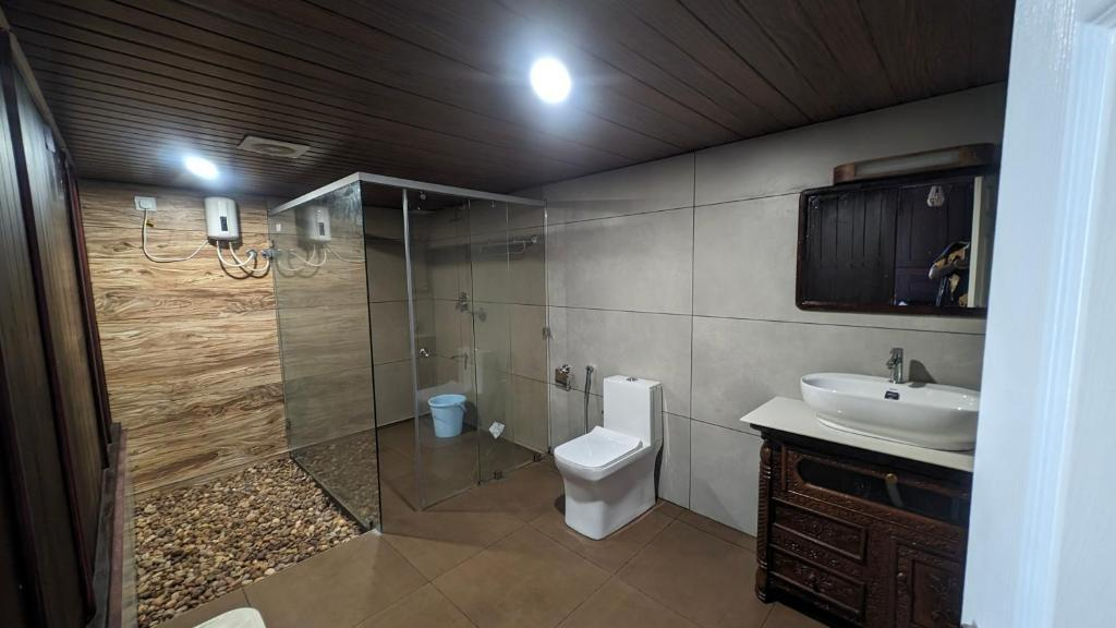 Beachillam x Solis Nature