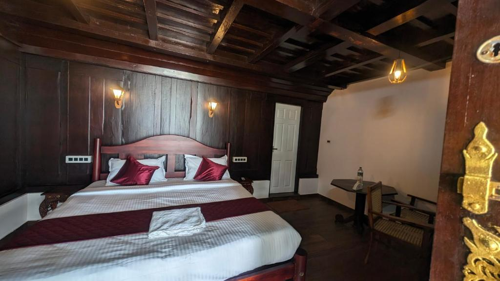 Beachillam x Solis Nature