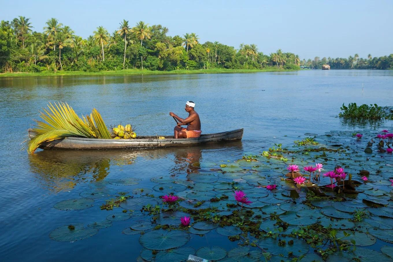 The Green Palace Health Resort x Solis Nature