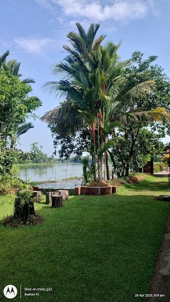 The Green Palace Health Resort x Solis Nature