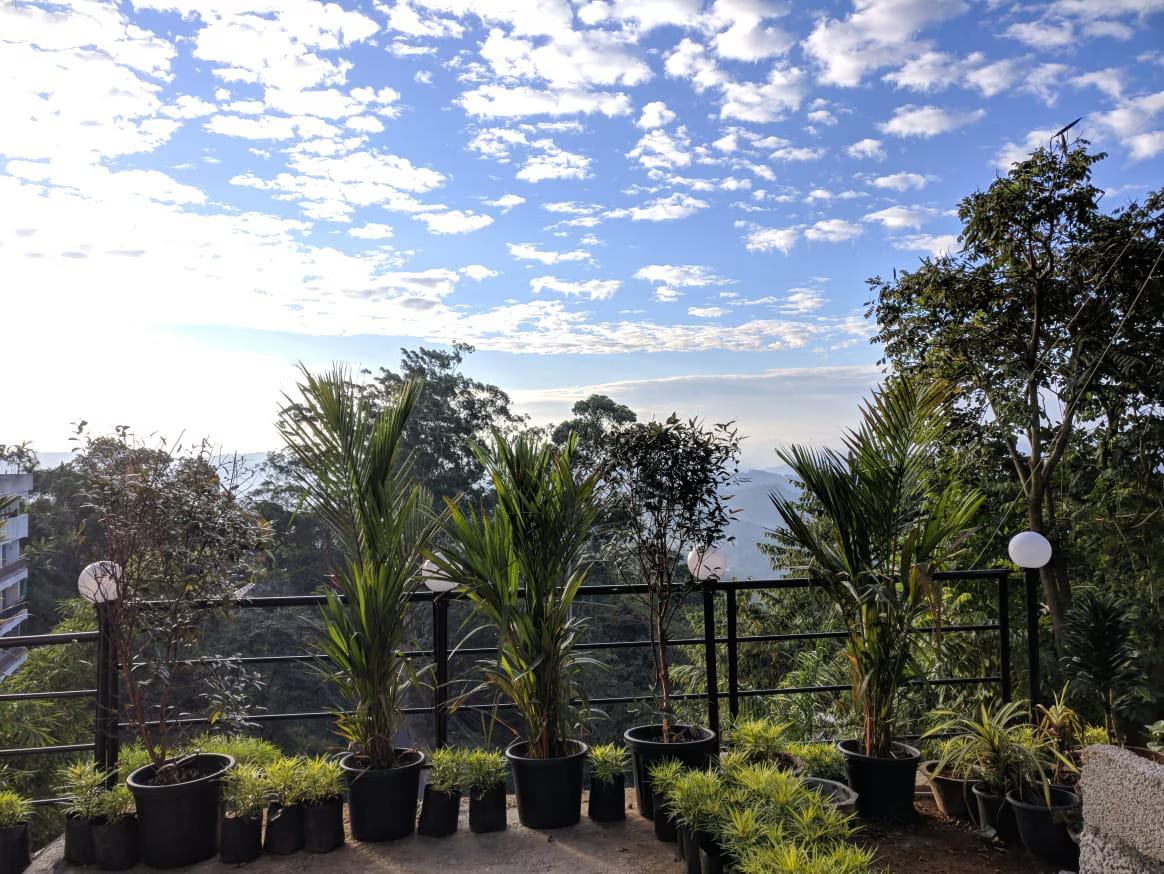 Mist Inn Resort x Solis Nature