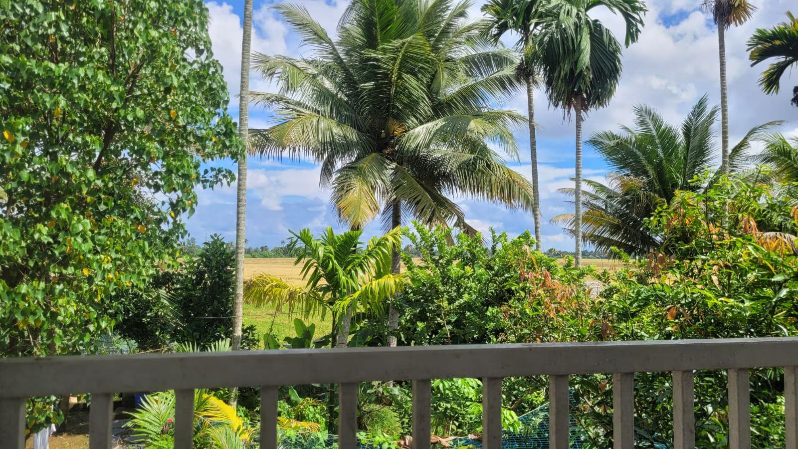 Evaans Casa Homestay x Solis Nature