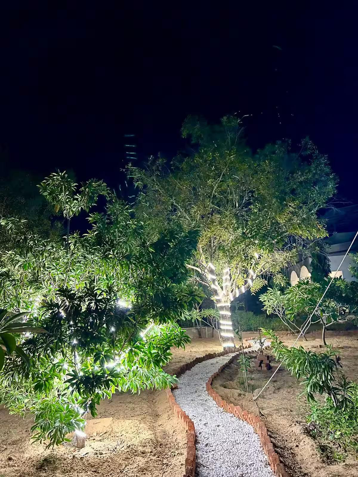 AASRA Farmstay x Solis Nature