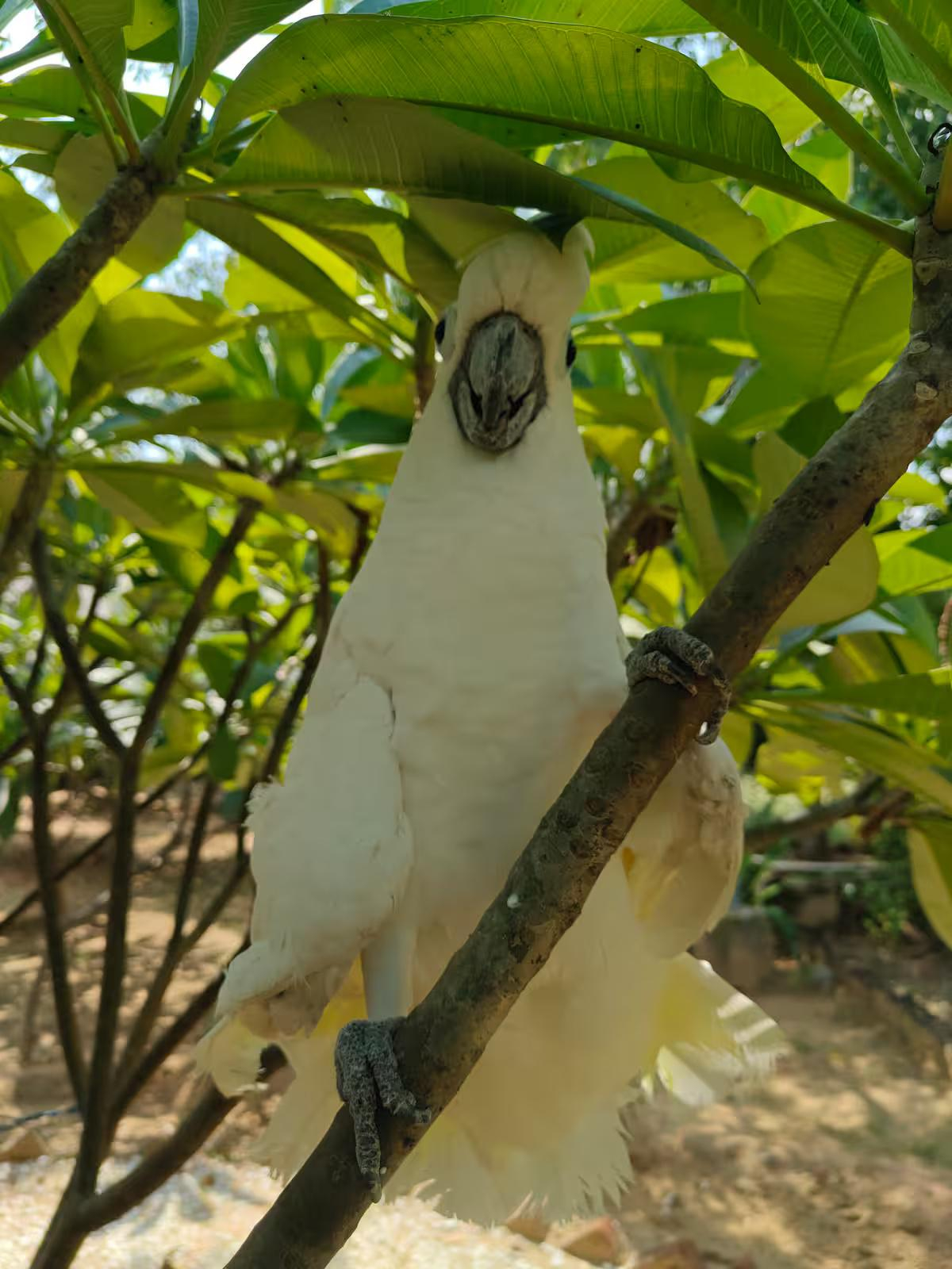 AASRA Farmstay x Solis Nature