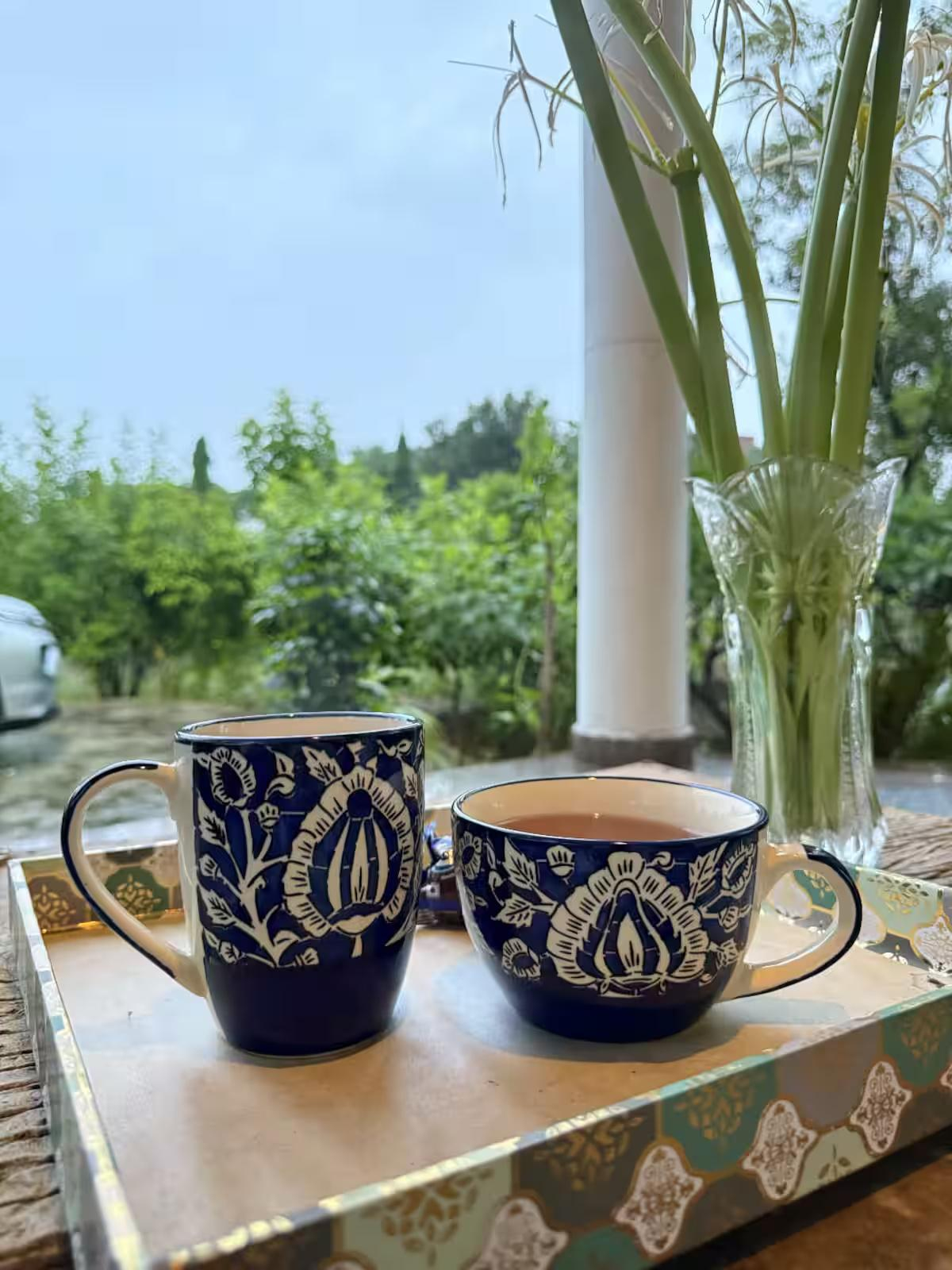 AASRA Farmstay x Solis Nature