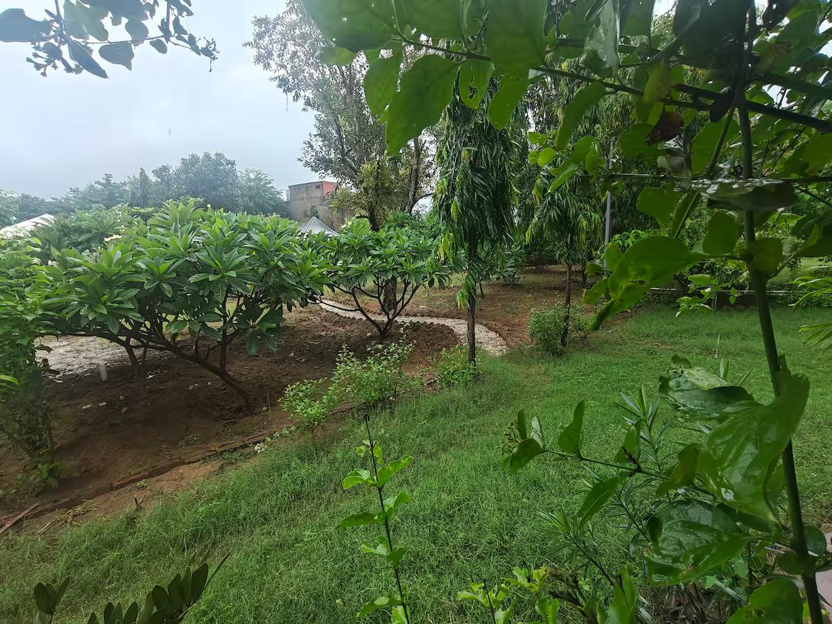 AASRA Farmstay x Solis Nature