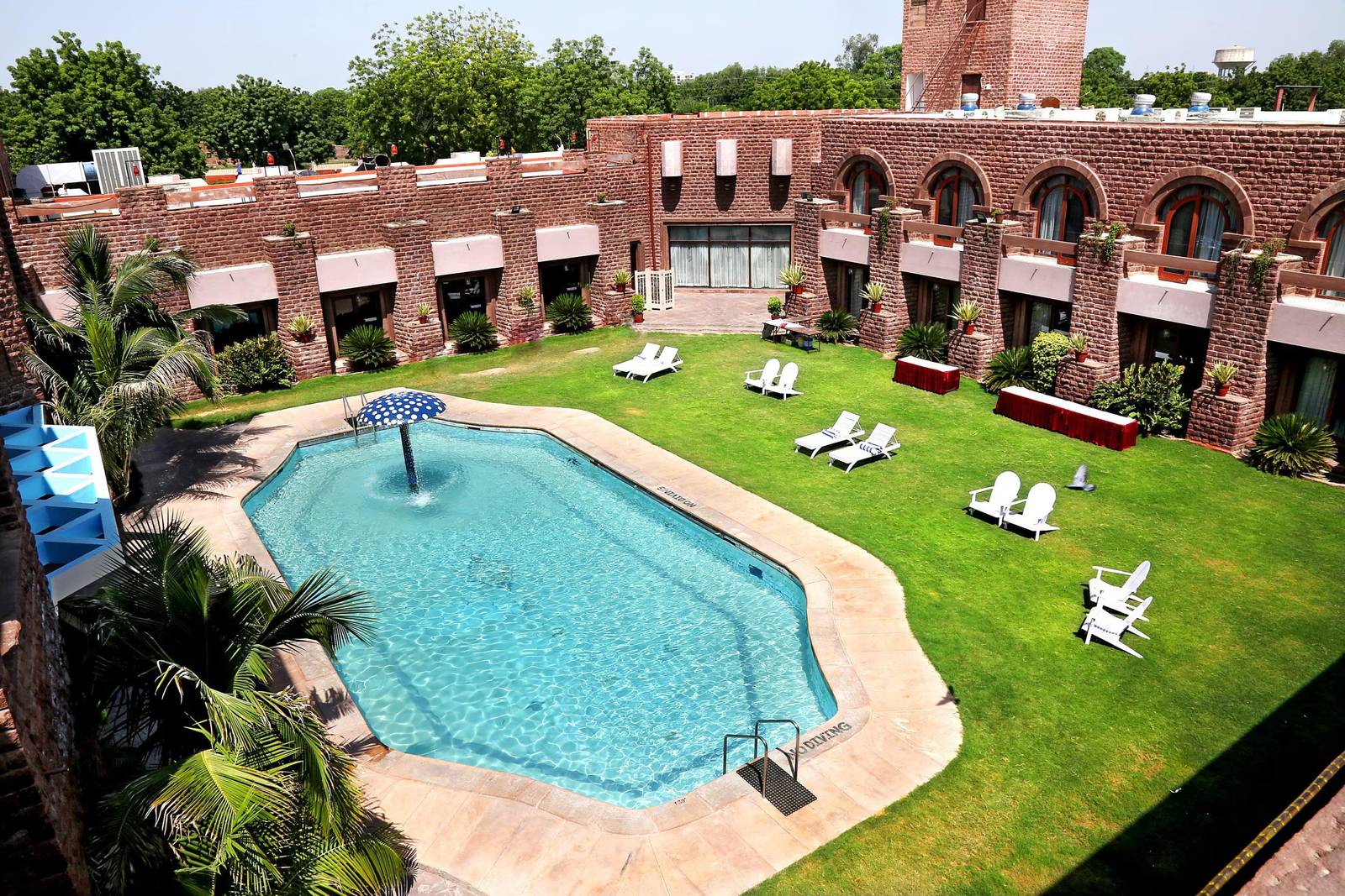 Shree Ram International x Solis Nature