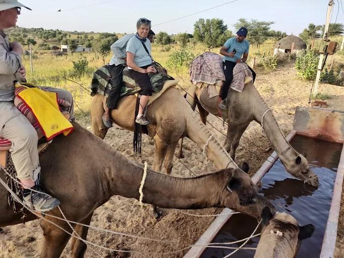 Dhanna Ram Ki Dhani Village Homestay x Solis Nature