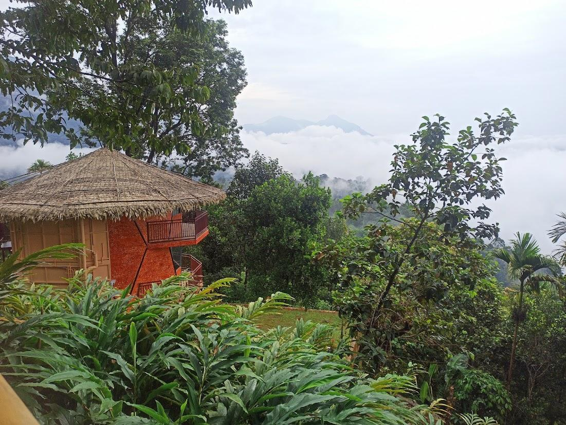 Meraki Tribe Heritage x Solis Nature