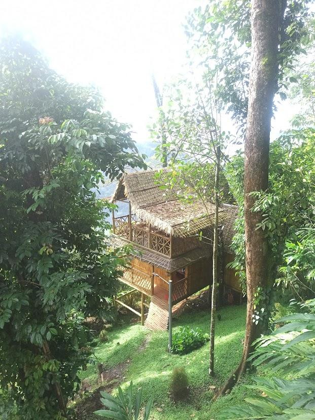 Meraki Tribe Heritage x Solis Nature