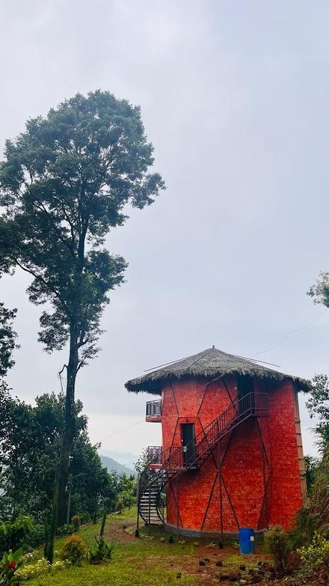 Meraki Tribe Heritage x Solis Nature