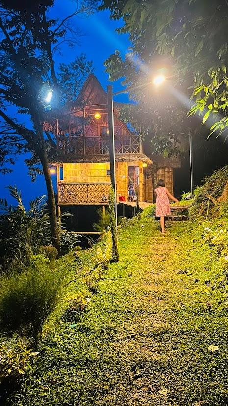 Meraki Tribe Heritage x Solis Nature