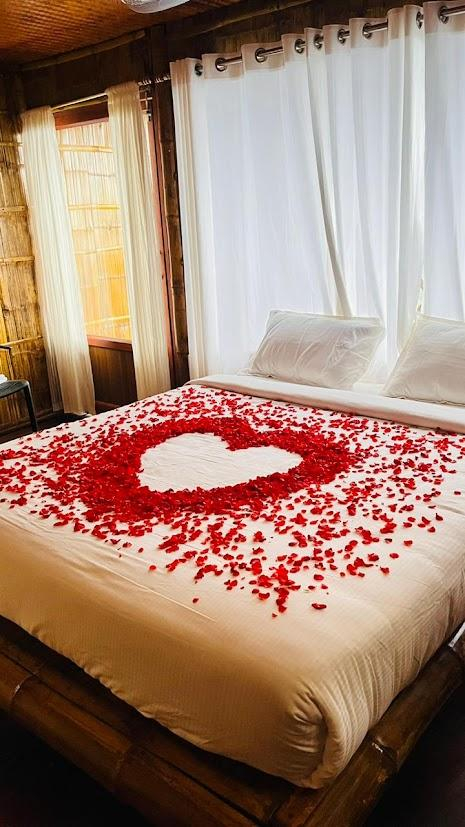 Meraki Tribe Heritage x Solis Nature