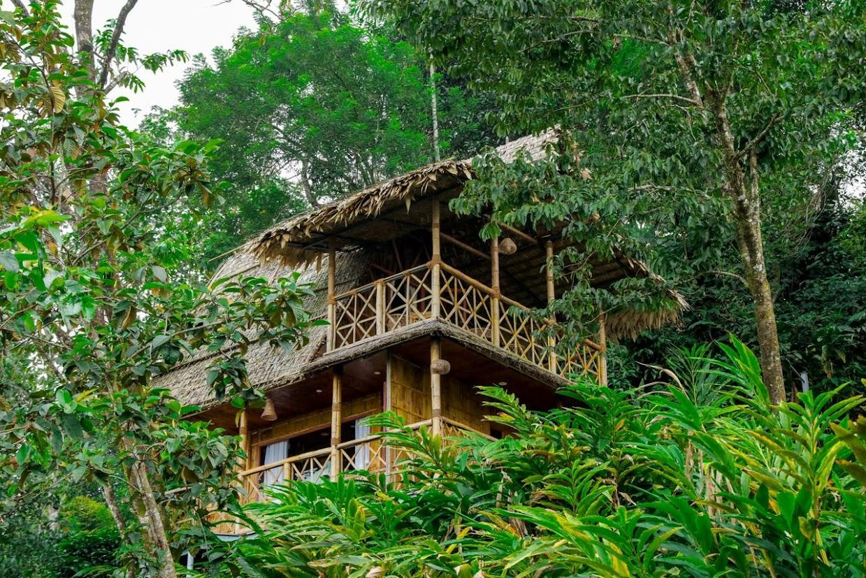 Meraki Tribe Heritage x Solis Nature