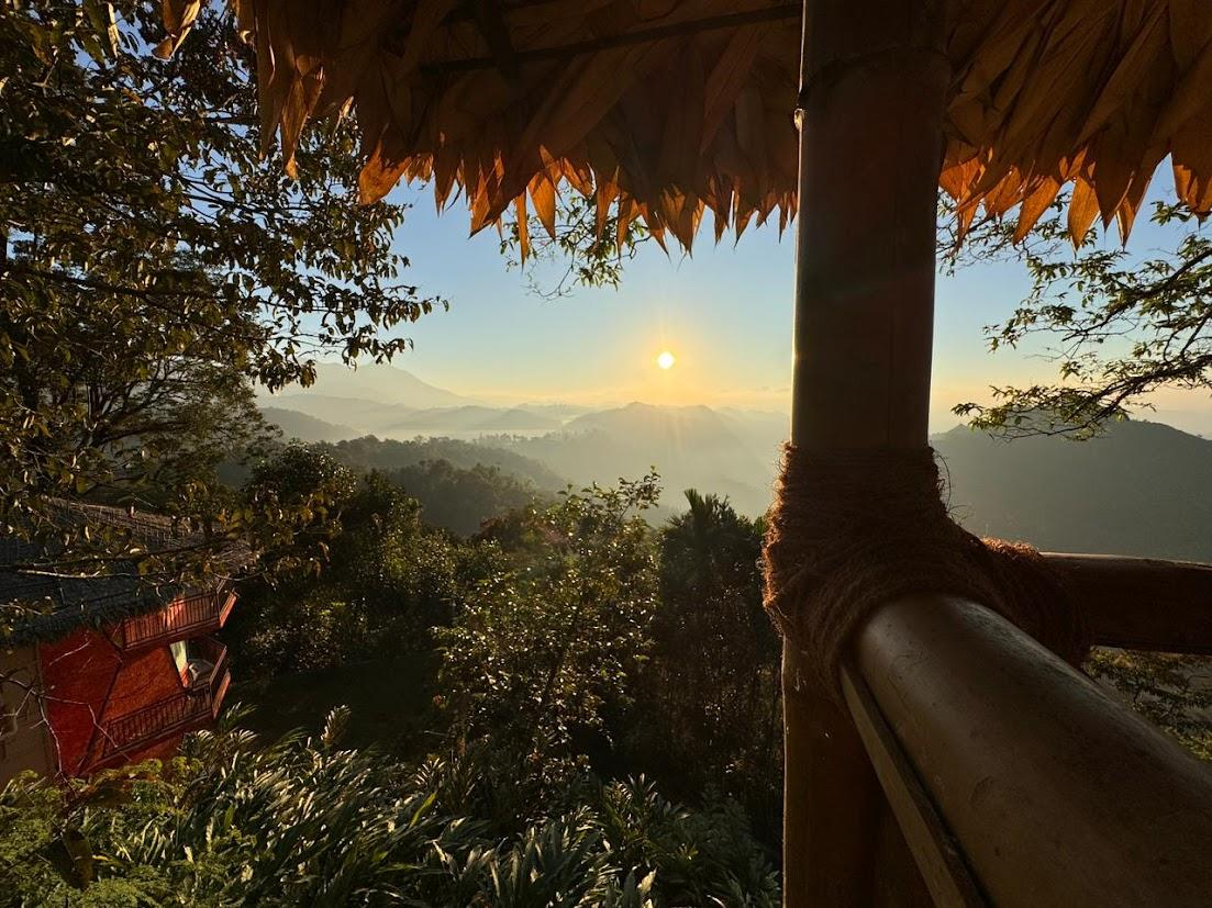 Meraki Tribe Heritage x Solis Nature