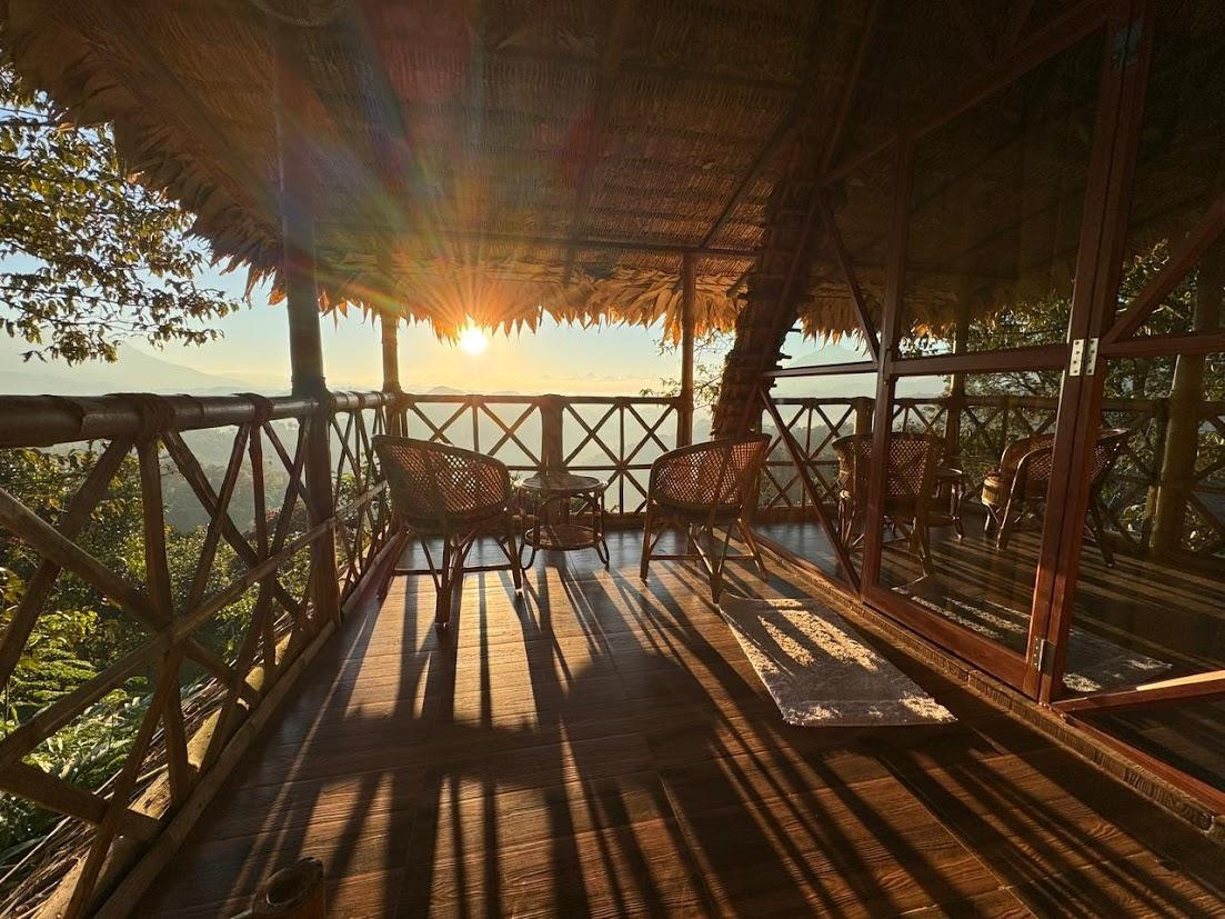 Meraki Tribe Heritage x Solis Nature